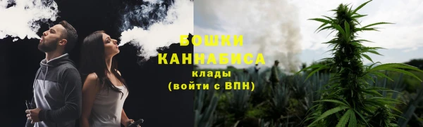 сатива Бугульма
