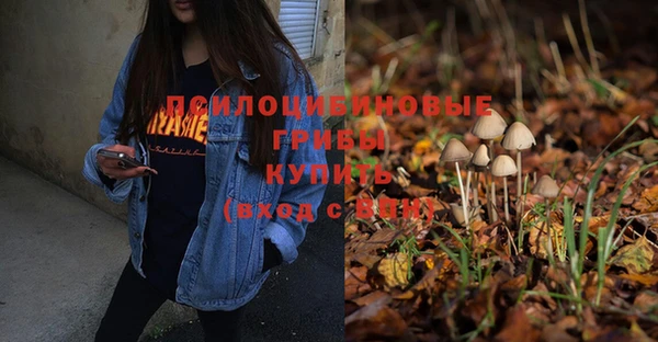 сатива Бугульма