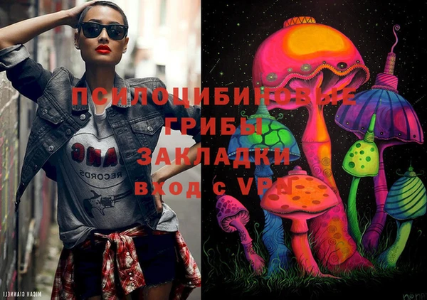 герыч Бородино