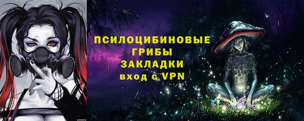 сатива Бугульма